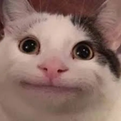 serverkek